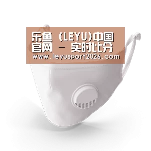 N95 口罩