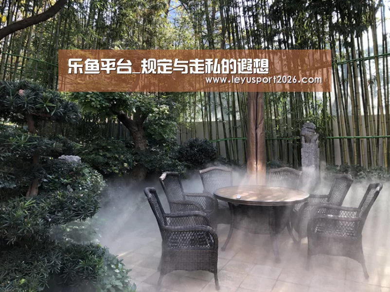 乐鱼平台_规定与走私的遐想