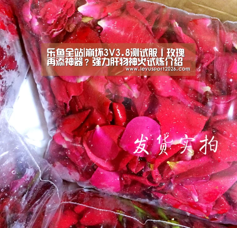 乐鱼平台