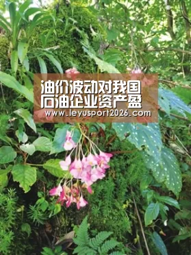 乐鱼平台