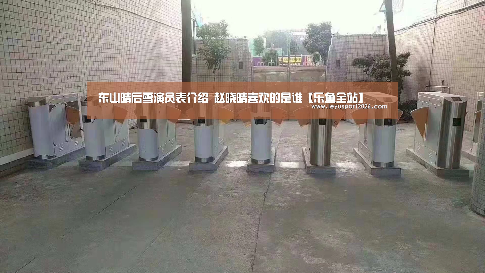 东山晴后雪演员表介绍 赵晓晴喜欢的是谁【乐鱼全站】(图2) 乐鱼平台
