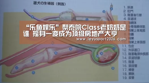 “乐鱼娱乐”梨泰院Class老奶奶是谁 摇身一变成为顶级房地产大亨(图1)