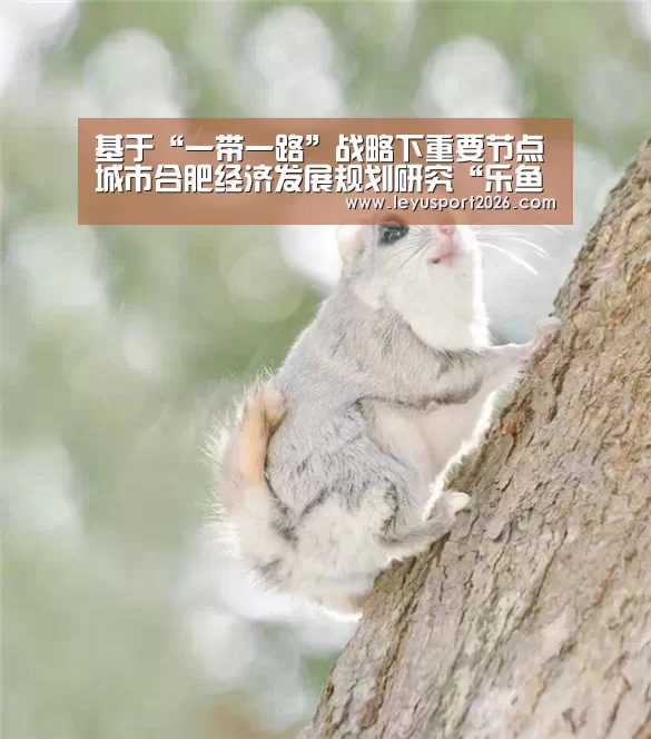 基于“一带一路”战略下重要节点城市合肥经济发展规划研究“乐鱼平台”(图1) 基于“一带一路”战略下重要节点城市合肥经济发展规划研究“乐鱼平台”(图1)