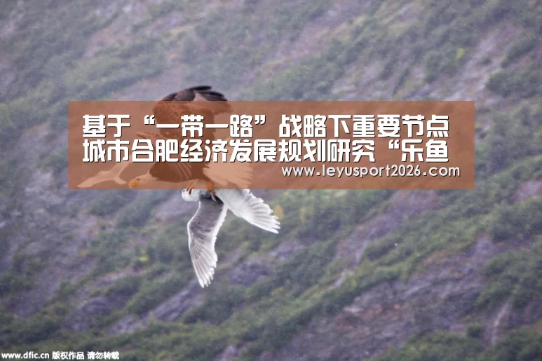 基于“一带一路”战略下重要节点城市合肥经济发展规划研究“乐鱼平台”(图2) 乐鱼全站