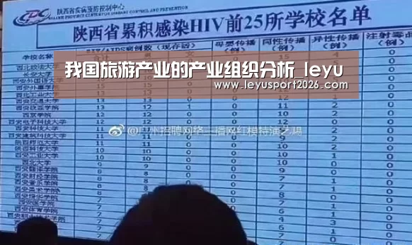 我国旅游产业的产业组织分析_leyu(图1) 乐鱼全站