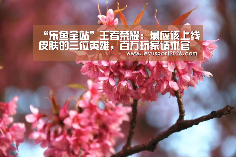 “乐鱼全站”王者荣耀:最应该上线皮肤的三位英雄,百万玩家请求官方尽快安排,上线必买(图2) 乐鱼平台