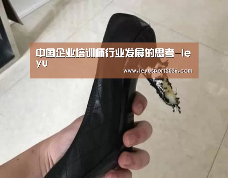 乐鱼娱乐