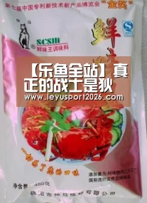 【乐鱼全站】真正的战士是狄仁杰,真正的法师是李信,那你知道真正的射手和坦克吗?(图1) 乐鱼全站